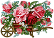[Flowers]