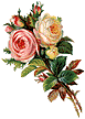 [Flowers]