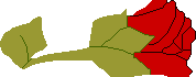 * * *
